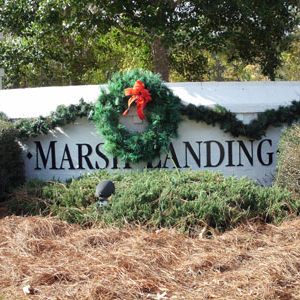 Marsh Landing