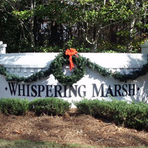 Whispering Marsh