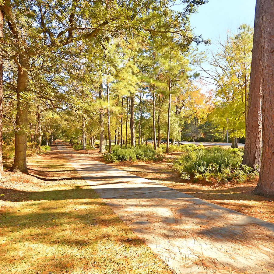 Goose Creek