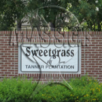 Sweetgrass