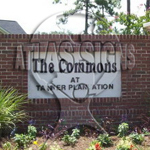 The Commons