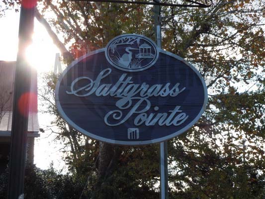 Saltgrass Pointe
