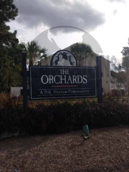 The Orchards