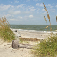 Myrtle Beach (Standard)