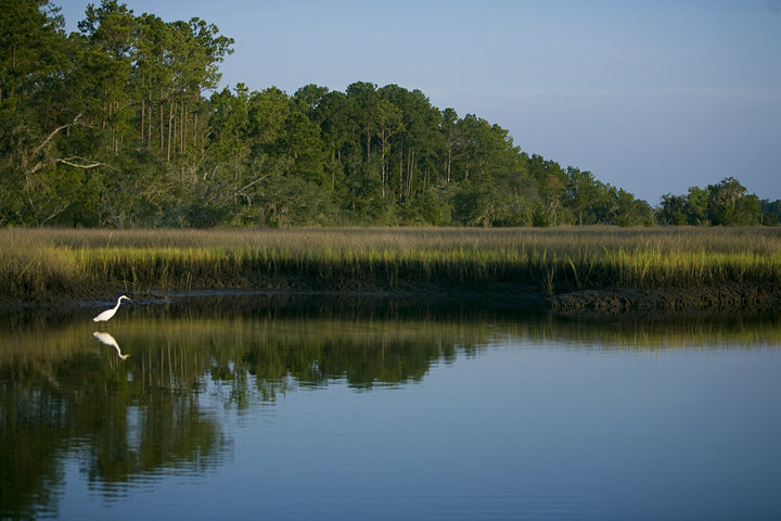 Ravenel