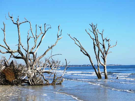 Edisto Island