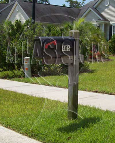Grand Oaks- Mailbox and Post (Bare Wood)